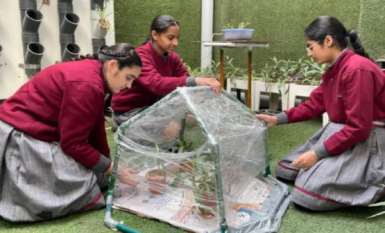 The FS&S programme is uniquely designed for Manav Rachna students providing them....